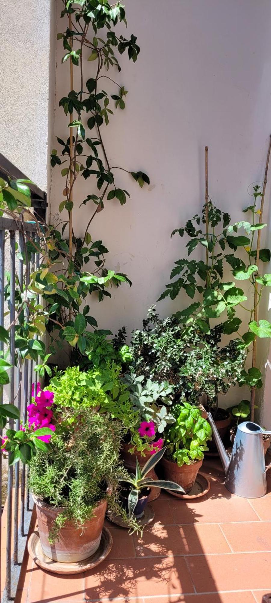 Vista Su Giardini Storici In Oltrarno Apartamento Florencia